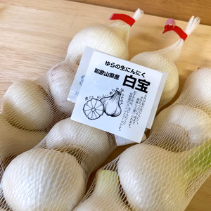 【今が旬】ゆらの生にんにく M玉 【皮まで美味しい】