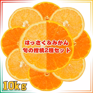 10kg 和歌山セット みかん はっさく セット　蜜柑 八朔 ミカン 送料無料