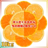 10kg 和歌山セット みかん はっさく セット　蜜柑 八朔 ミカン 送料無料