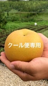 クール便専用福岡県うきはのあきづき梨 3キロ