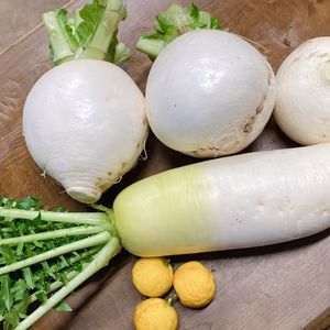 聖護院かぶ  大根 ゆず 3点セット 形の悪いものあり