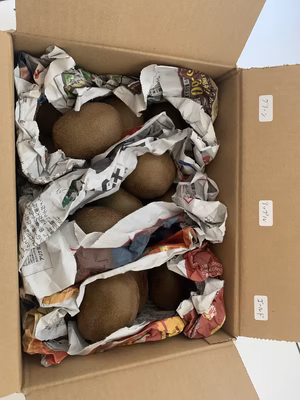 みんなの投稿の画像