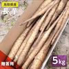 【贈答用】砂丘ながいも　長芋　とりたて 3kg 5kg 10kg　山芋　とろろ