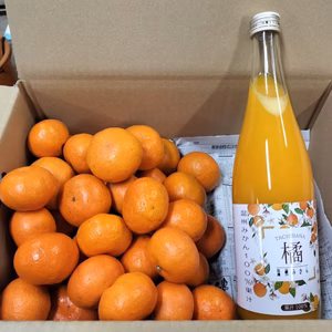 愛媛の小玉みかん正味3K&瓶ジュース 詰合せ ❣️W甘フレッシュ