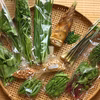 【無農薬・無肥料】生命力溢れる 旬野菜セット《冷蔵便》