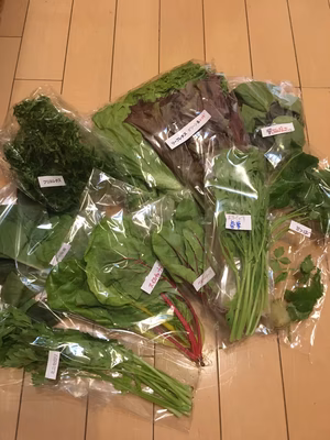 みんなの投稿の画像