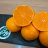【お家みかん】ジュワ〜甘❢小粒❢完熟 みかん【２S ～3S】