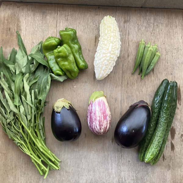 【たっぷりお野菜】渥美半島から旬と彩りの野菜セット