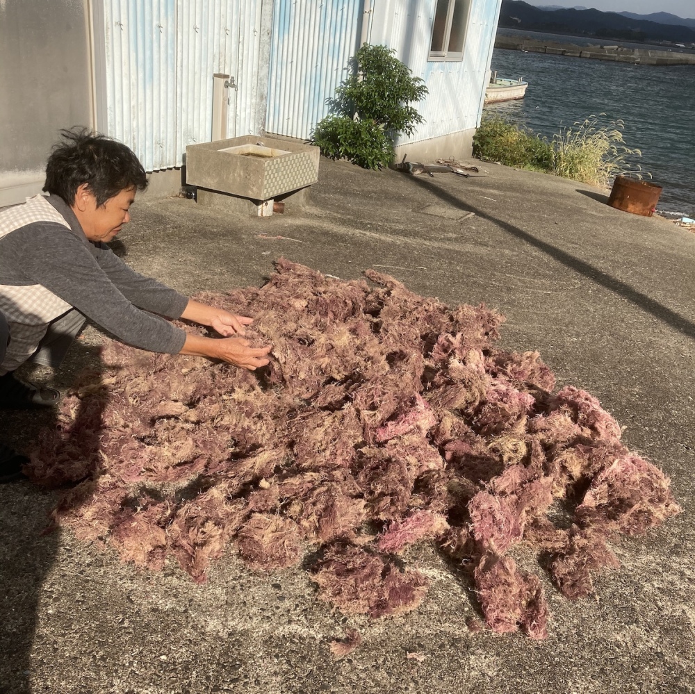 ところてん テングサ 寒天の違い 知ってる 自分でところてんを作りながら調べてみたよ 農家漁師から産地直送の通販 ポケットマルシェ