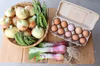 春の新玉メイン!!無農薬野菜と平飼いたまごセット