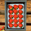 厳選15粒入り　新鮮朝採りいちご