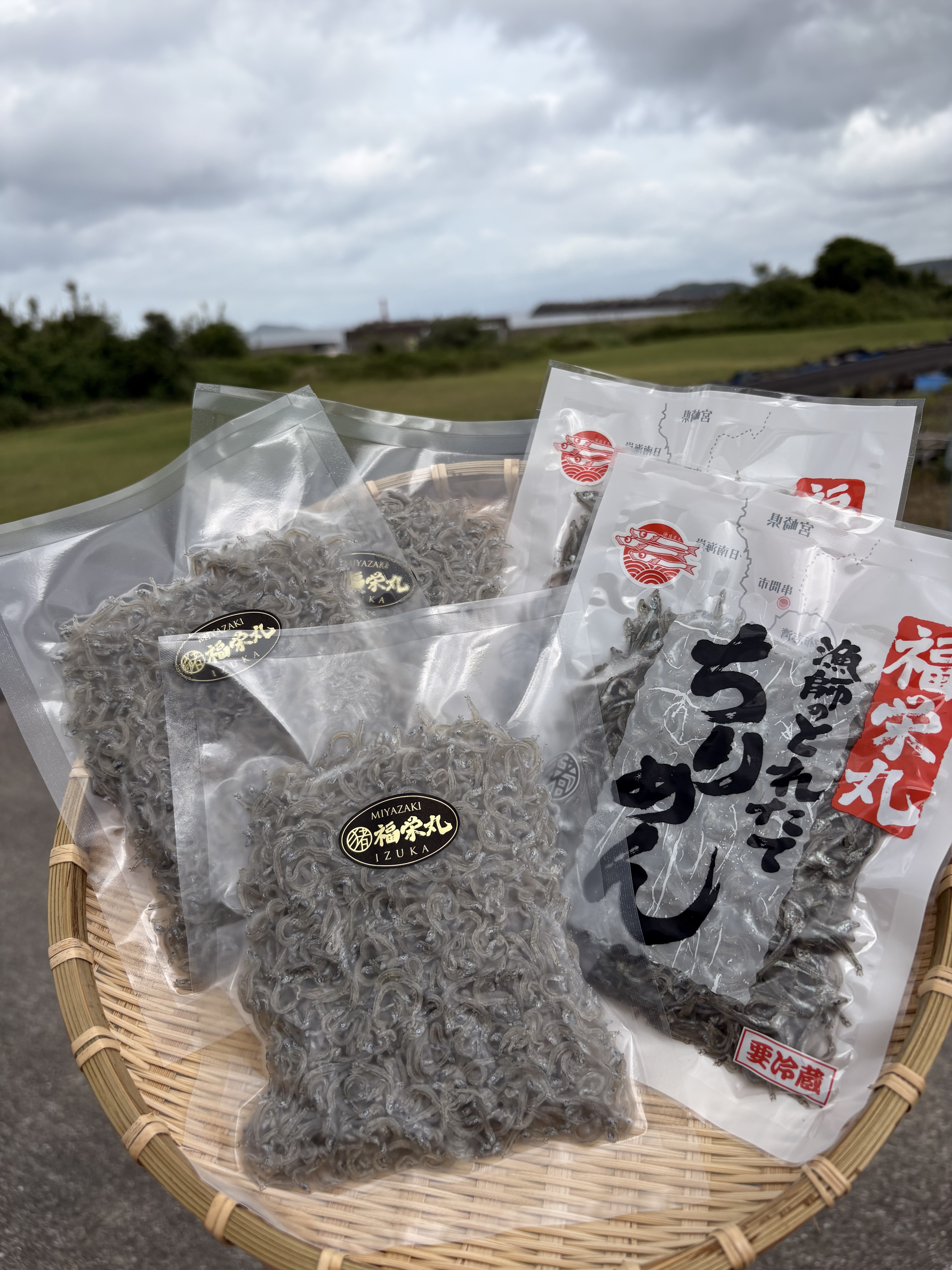 ちりめん 数量限定》漁師のとれたて《ひなたちりめん》セット｜しらす・ちりめん