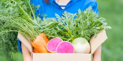 宮崎県からこんにちは。パワーあふれる野菜boxのたしなみ