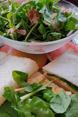 みんなの投稿の画像