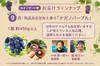 ぶどうを味わう3ヶ月『ぶどうの最旬リレー定期便』