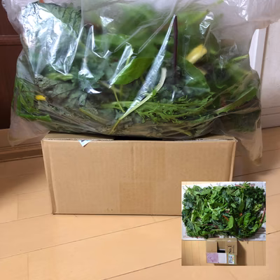 みんなの投稿の画像