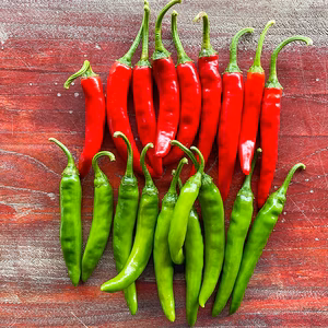 【数量限定】激辛！青唐辛子＆赤唐辛子 無農薬栽培 各150g ネコポスでお届け