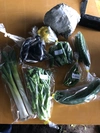 【月2回定期便】季節の野菜セット【農薬、化学肥料不使用】