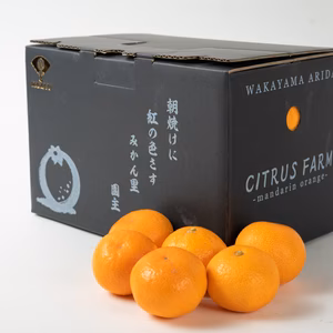 マルユー園のこだわり有田みかんお試し家庭用混合約2kg