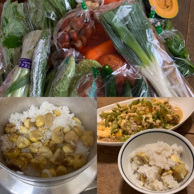 みんなの投稿の画像