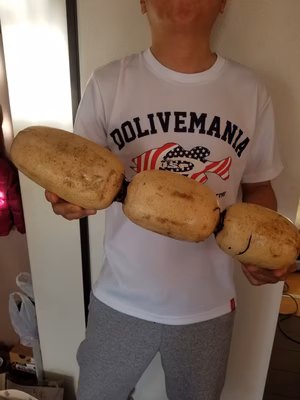 みんなの投稿の画像