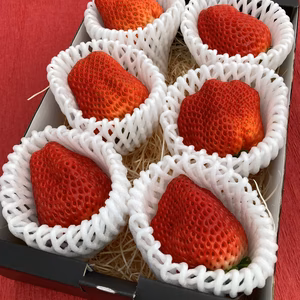 【期間限定！デカイチゴ！】紅ほっぺ プレミアムいちご (特大サイズ) 6粒入り