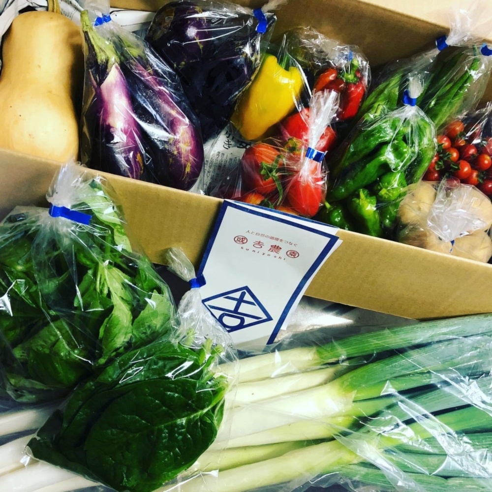 熊本県産 朝採り 新鮮らっきょう うながし 10kg 栽培中農薬不使用 