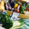 クール便単発!國吉農園野菜セット!栽培期間中農薬化学肥料不使用