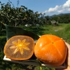 ご家庭用 紀の川柿 約2キロ