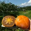 ［すぐに発送］ご家庭用 紀の川柿 5個〜