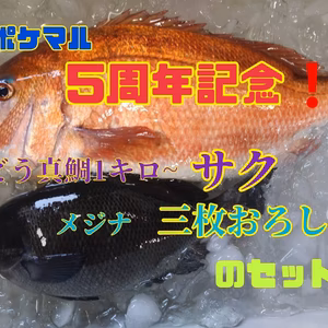 【5周年福袋】日本本土最西端のぶどう真鯛とメジナのセット