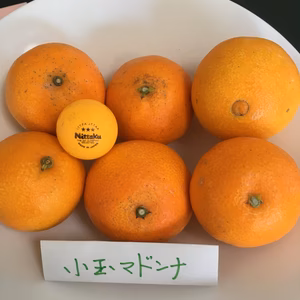 小さいまどんな　20~25個 4キロ　