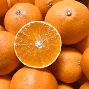 送料込み⭕️大好評◼️トロける小玉まどんな◼️北海道・沖縄等発送不可