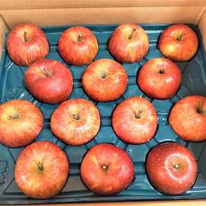 山の上のサンふじ　家庭用