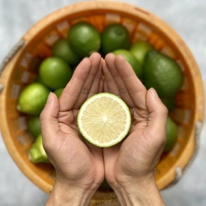 【薄皮】グリーンレモン【種が少ない】【防腐剤・ワックス不使用】
