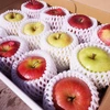 【訳アリでお得】低農薬で皮ごとおいしい青森りんご3種類食べ比べセット3kg