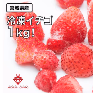 スムージーにおすすめミガキイチゴの冷凍イチゴ！1kg