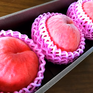 桃の概念をぶっ壊す！硬い桃ファンに贈る完熟おどろき3玉　化粧箱入り　福島の桃