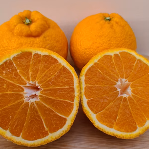 不知火(デコポン)家庭用2.5キロ