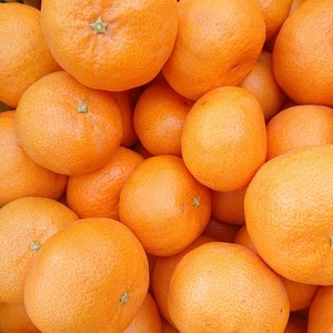 香り高い柑橘たまみ2.5kg(S～3Lいずれかのｻｲｽﾞ混合でお届けします！)