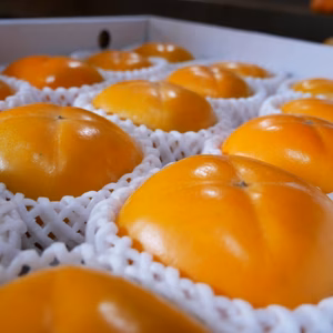 上品な舌触り＊たねなし柿【秀品】匠果樹園＊のし対応