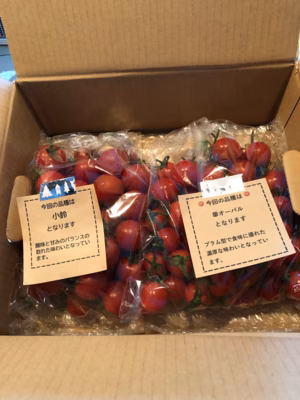 みんなの投稿の画像