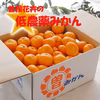 低農薬みかん10㎏＆瀬戸の花はちみつ「桜」「みかん」小瓶セット