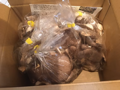 みんなの投稿の画像