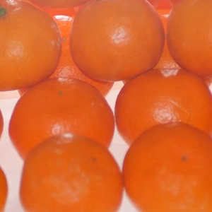 【紅みかん】糖度9度Ｓ.M混合サイズ5kg