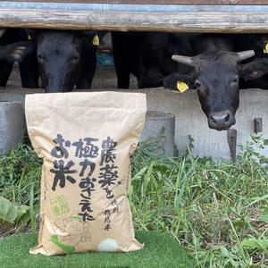 コシヒカリ（精米）