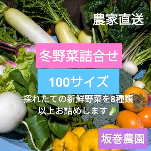 旬の野菜セット！ 100サイズの箱に8種類以上のお野菜詰め合わせ