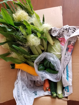 みんなの投稿の画像