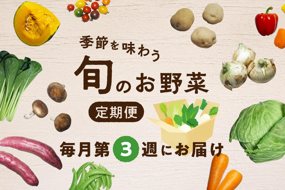 【第3週お届け】季節を味わう　旬のお野菜定期便