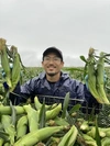【2023年 早期予約】高野農場ゴールドラッシュ 北海道十勝トウモロコシ